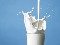 Заявление о банкротстве "Назаровского молока" рассмотрят в июне
