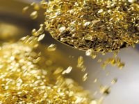 Краевого предпринимателя заподозрили в незаконной добыче золота на 12 млн р