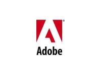 Adobe Inc отсудила у полиграфической фирмы более полумиллиона рублей