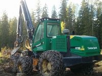 Лесозаготовители отравили 8 гектаров почвы нефтепродуктами