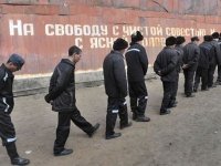 По экономической амнистии в Красноярском крае освободили 12 человек
