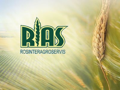 Египет решает, что делать с российской пшеницей