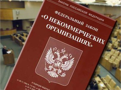 Госдума одобрила в целом президентские поправки к закону об НКО
