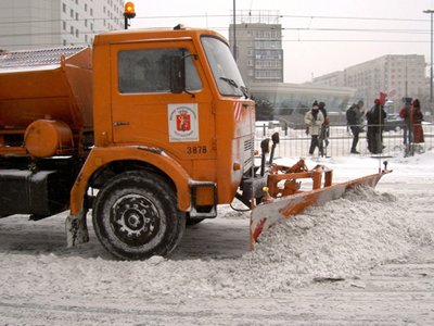 Минприроды просит Генпрокуратуру наказать мэрию Москвы за уборку улиц