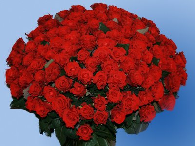 В аэропорту Красноярска обнаружены 2 000 роз без карантинного сретификата
