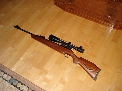 Москвич стрелял в домашних собак из оптической винтовки