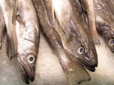 ФАС: продажа рыбы по цене выше мяса и птицы связана с посреднической наценкой в 46%