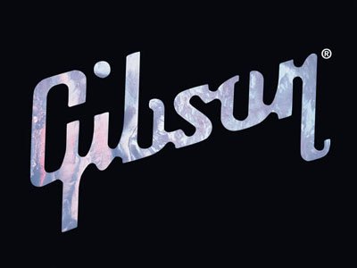 Gibson Guitar оштрафовали на $300000 за незаконный импорт экзотической древесины