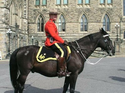 Канадский суд начал рассмотрение скандального дела о коррупции в полиции