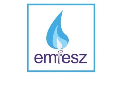 В венгерской газовой компании EMFESZ проводится обыск