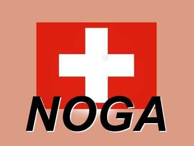 Швейцарская Noga компенсирует расходы РИА &quot;Новости&quot; 