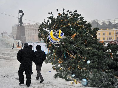 Вырубка новогодних елок в Хакасии будет контролироваться особенно тщательно