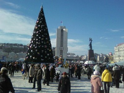 Прокуратура расследует падение главной елки Владивостока