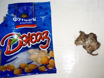 Суд отклонил иск о &quot;мыши в пакете с орехами&quot;, производитель подал встречный иск о защите репута