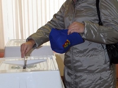 Наблюдатели сообщили, что выборы в Эстонии прошли с нарушениями