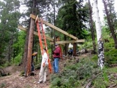 Юрист построит деревянный офис в сосновом лесу