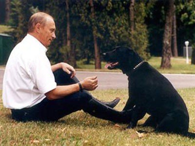 Детского омбудсмена Петербурга просят помочь установить памятник собаке Путина