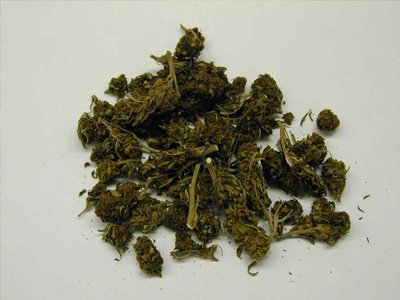 Судья из Бруклина призвал власти легализовать использование марихуаны в паллиативных целях