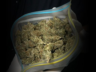 Приговор по хранению марихуаны коробок конопли в граммах