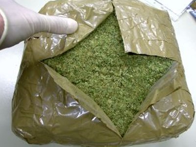 семена марихуаны доставкой почтой россии