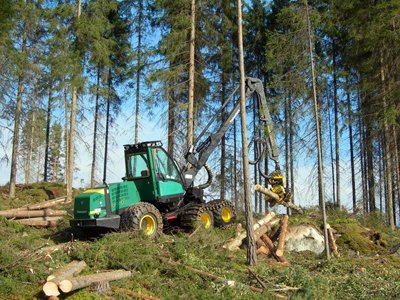 Следствие ходатайствует об аресте министра природы, нарубившего лес на 515 млн руб.