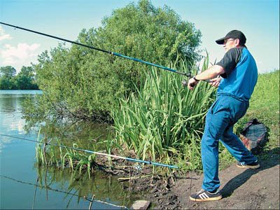 Госдуме предлагают ввести в НК госпошлины и сборы для рыболовов