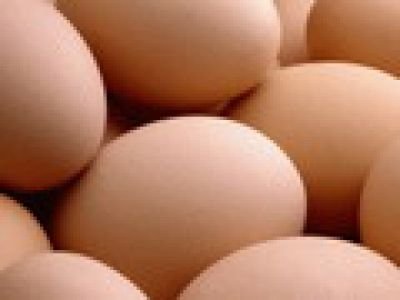 ФАС раскрыла сговор по повышению цен на яйца