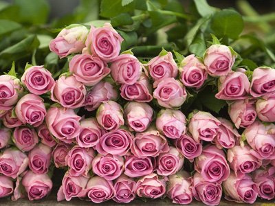 Судят интернет-продавца цветов, который не доставил ни одного из полученных 52 заказов