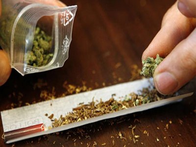 марихуана легализована в голландии