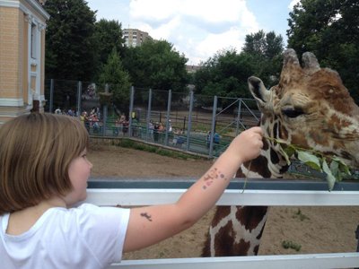 ФАС запретила Московскому зоопарку вставлять палки в колеса организаторам его юбилея