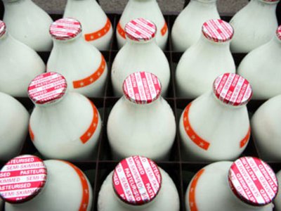 Судят замглавы района, заставлявшую школы и детсады покупать продукцию у своего молочного завода
