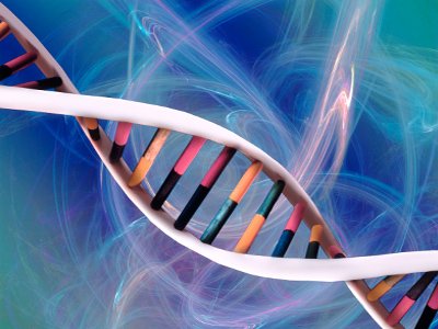 МВД предлагает ввести для иностранцев геномную регистрацию