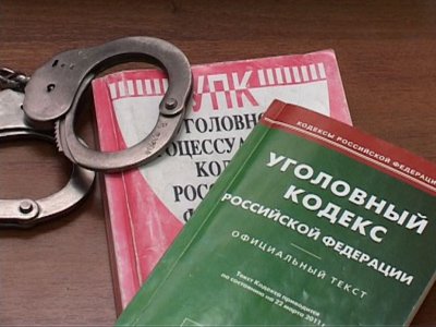 Вячеслав Лебедев считает, что необходимо принять новые УК и УПК