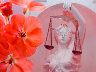 Верховный суд РФ купит живых цветов на 150 тысяч рублей