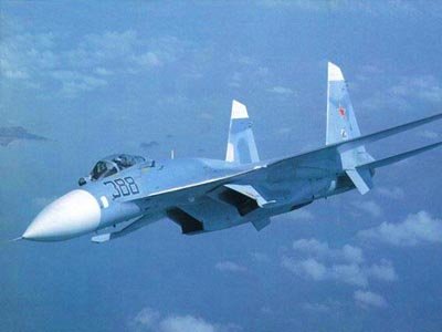 Трунов: Пострадавшие от падения СУ-27 будут добиваться компенсаций через суд