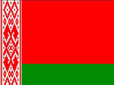 В Белоруссии возбуждено уголовное дело против замглавы МВД