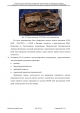 Доклад о гибели Качиньского опубликованый правительством Польши 29 июля — фото 68