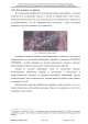 Доклад о гибели Качиньского опубликованый правительством Польши 29 июля — фото 78